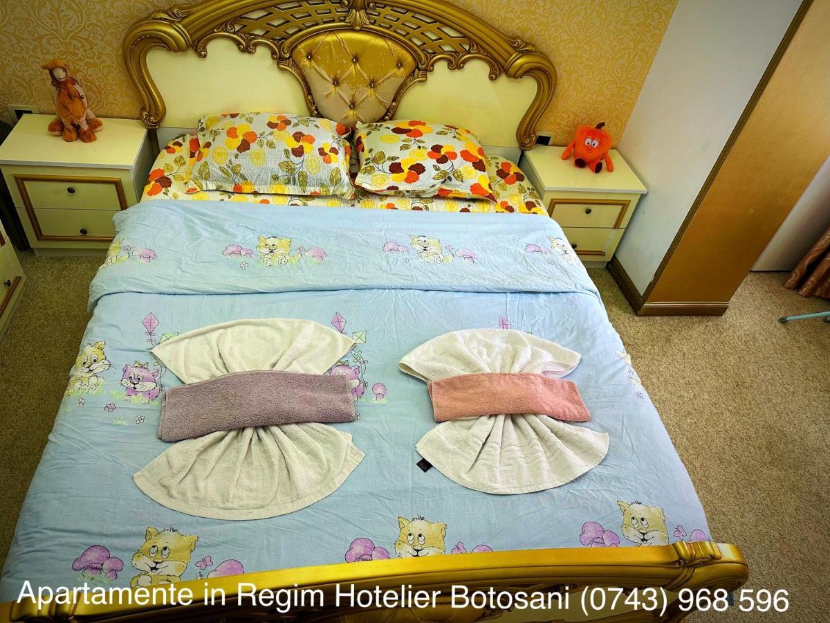 Apartament De Lux Zona 0 Botosani 2 Camere Kültér fotó
